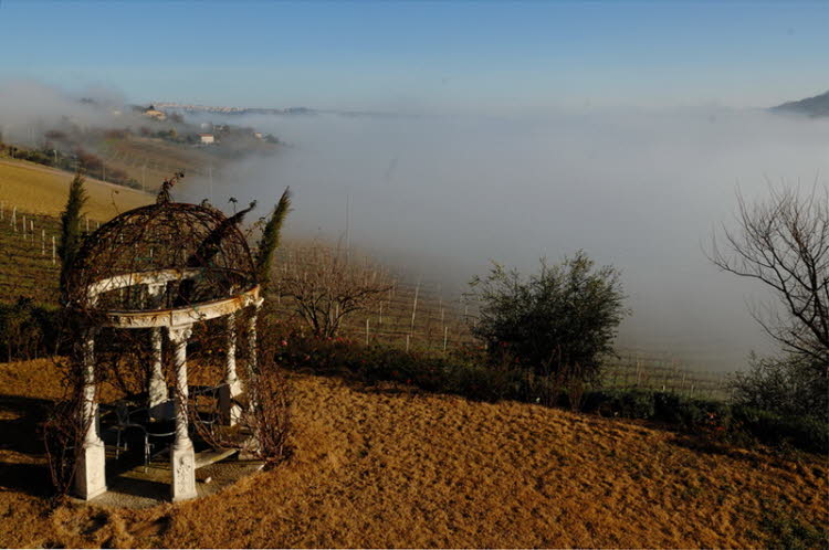 Atmosfera autunnale in giardino
