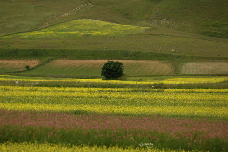 Monti Sibillini